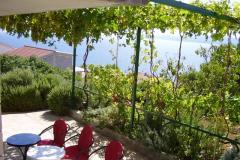 Apartmani Peter Apartman 1 – APP 1 foto 2