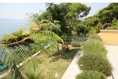 Villa Mandolina Apartman 1 – Ap. A (EG) foto 4