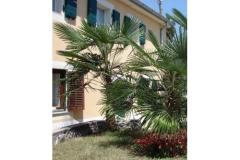 Apartmeni Gobac Apartman 3 – MALI foto 1