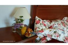 Apartman Kamelija Apartman 1 – Kamelija foto 2