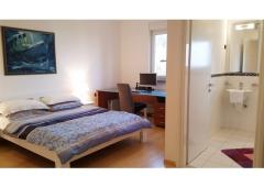 Villa and Bungalow Jovic Apartman 1 – Luxery sui foto 4