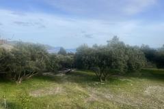 Sun Vila Apartman 4 – Kuća foto 1
