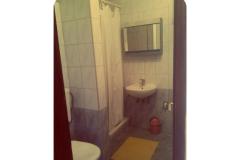 Apartmani Ivana Apartman 1 – Apartman 2 foto 4