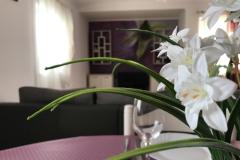Apartmani Luna Apartman 4 – 7 foto 1