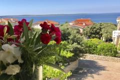 Apartmani Villa Ana Apartman 3 – A5 foto 5