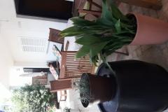 Lola Apartman 1 – A4+1 foto 2