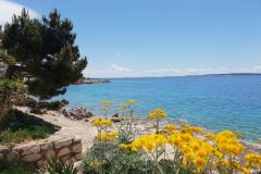 Stargo Apartmani Apartman 2 – Blue foto 1