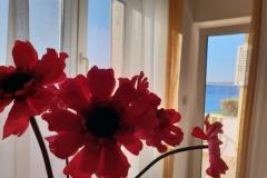 Stargo Apartmani Apartman 2 – Blue foto 2