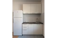 Apartmani Bosi i Goli Apartman 1 – A1 foto 4