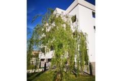 Apartmani Dalmacija Apartman 2: (2+2) – apartman 2 foto 1