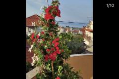 Apartmani Iva Apartman 3 – App 7+1 foto 2