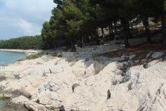 Apartmani Varga Apartman 3 – AP4 foto 3
