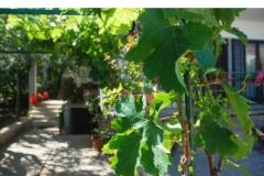 Apartmani Danica Apartman 1 – APP 1 foto 2