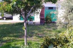 Apartman Sumić Apartman 1 – Vespa foto 2