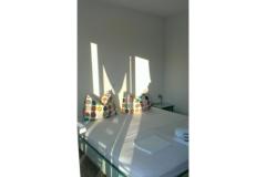 Apartmani Pivac Apartman 2 – ZELENI foto 2