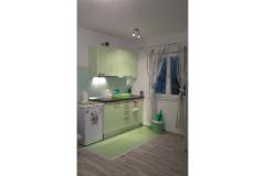 Apartmani Pivac Apartman 2 – ZELENI foto 5