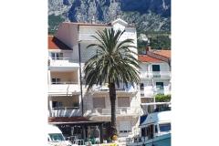 Palm tree apartman Apartman 1 – Palm tree foto 1