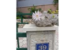 Rako Apartmani Marilka Apartman 3 – APARTMAN 2 foto 1