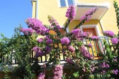 Apartmani Podstrana Apartman 2 – Apartman 2 foto 3