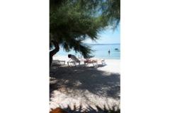 Apartmani Antonia Apartman 1 – Apartman foto 5