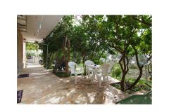 Apartmani Bougainvillea Apartman 3 – apartman foto 4