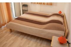 Apartmani Jopa Apartman 2 – A4 foto 1