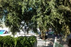 Apartmani 10 metara od mora Apartman 3 – Ap.3 foto 1