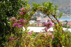 Apartmani  TOJO Apartman 3 – A3 foto 2