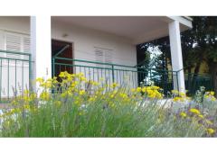 Apartmani vila Diana Apartman 1 – apartman M foto 2
