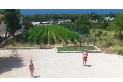 Apartmani vila Diana Apartman 1 – apartman M foto 4