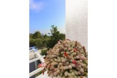 Apartmani Gordana Apartman 1 – Novi foto 3