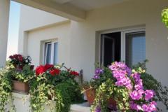 Apartmani 255 Apartman 2 – STUDIO foto 1