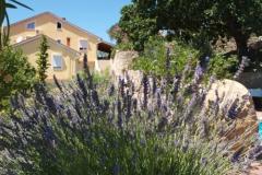 Apartmani Dumičić Apartman 3 – A6 donji foto 3