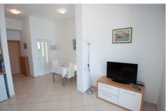 Apartmani Ban Apartman 1 – Apartman 1 foto 3