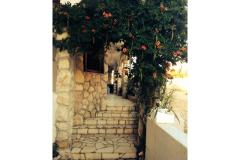 Apartmani Tolić  Apartman 3 – Kika foto 3
