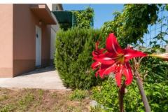 Apartmani ELLE Apartman 2 – A2+2 foto 3