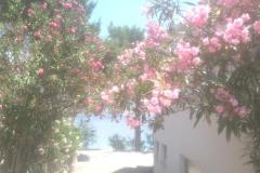 Kuća za odmor Milenka Apartman 2 – apartman foto 3