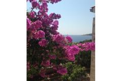 Vesna apartmani Apartman 2 – A2 foto 1