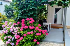 Apartmani i Sobe Markovic Apartman 1 – "KRASNO" foto 2