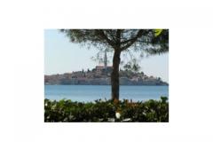 Rovinj Apartman Meerblick Apartman 1 – prizemlje foto 1