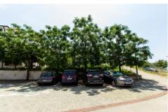 Apartman Zaboric Terrace Apartman 1 – Terrace foto 4
