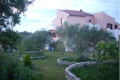 Dalmatian Apartman 2 – apartman foto 2