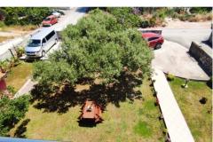Apartmani Villa Magnolija Apartman 3 – apartman 3 foto 4