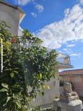 Villa Aura Maris Apartman 1 – Aura Maris foto 5