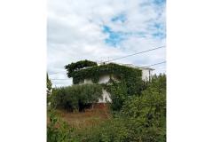 Apartmani Maja Apartman 2 – APARTMAN 2 foto 5