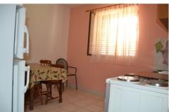 Apartmani Fedor Apartman 1 – Ap2 foto 4