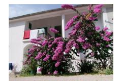 Apartmani Ive Soba 5 – br5 foto 4