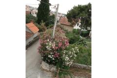 Apartmani Gogi Apartman 4 – A4 foto 3