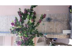 Apartmani Šošo Apartman 2: (4+0) – Apartman 3 foto 4