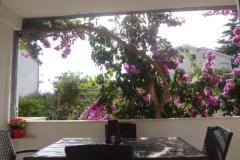 Apartmani Malic Apartman 1 foto 3